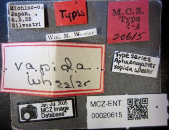 Media type: image;   Entomology 20615 Aspect: labels